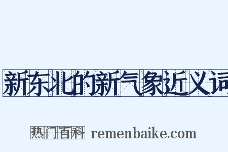 新东北的新气象近义词是什么意思的图片